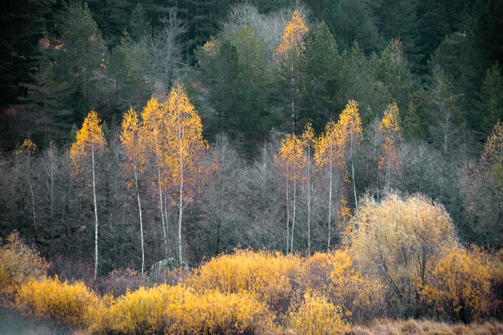 Photograph by Татьяна Романова