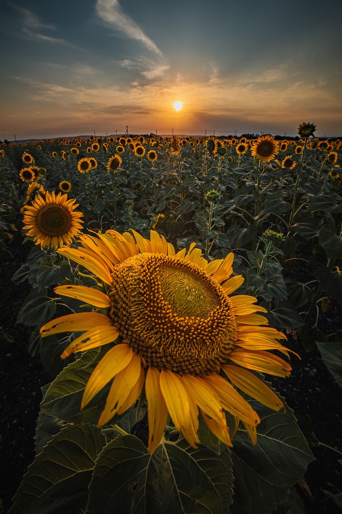 Photograph by Филипп Бабенко