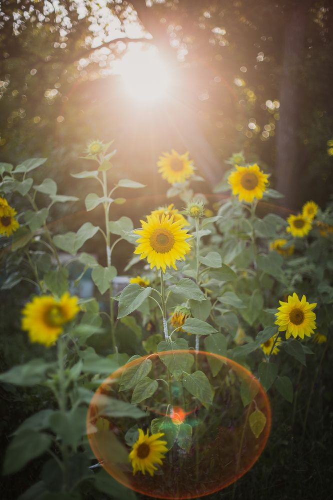 Photograph by Филипп Бабенко