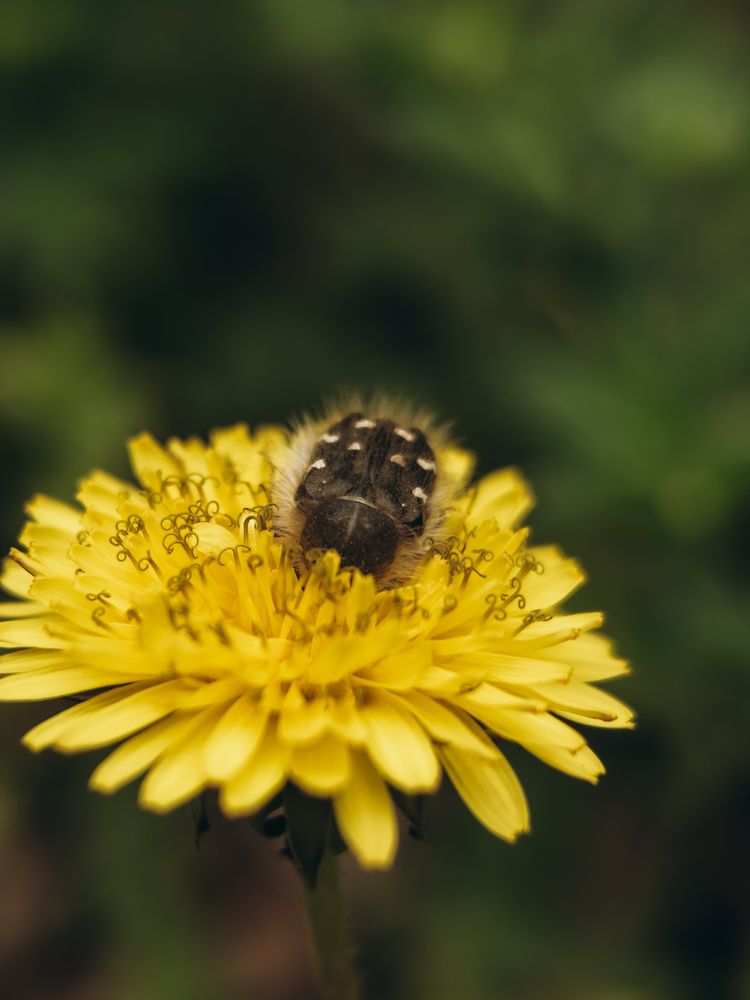 Photograph by Екатерина Щербинина