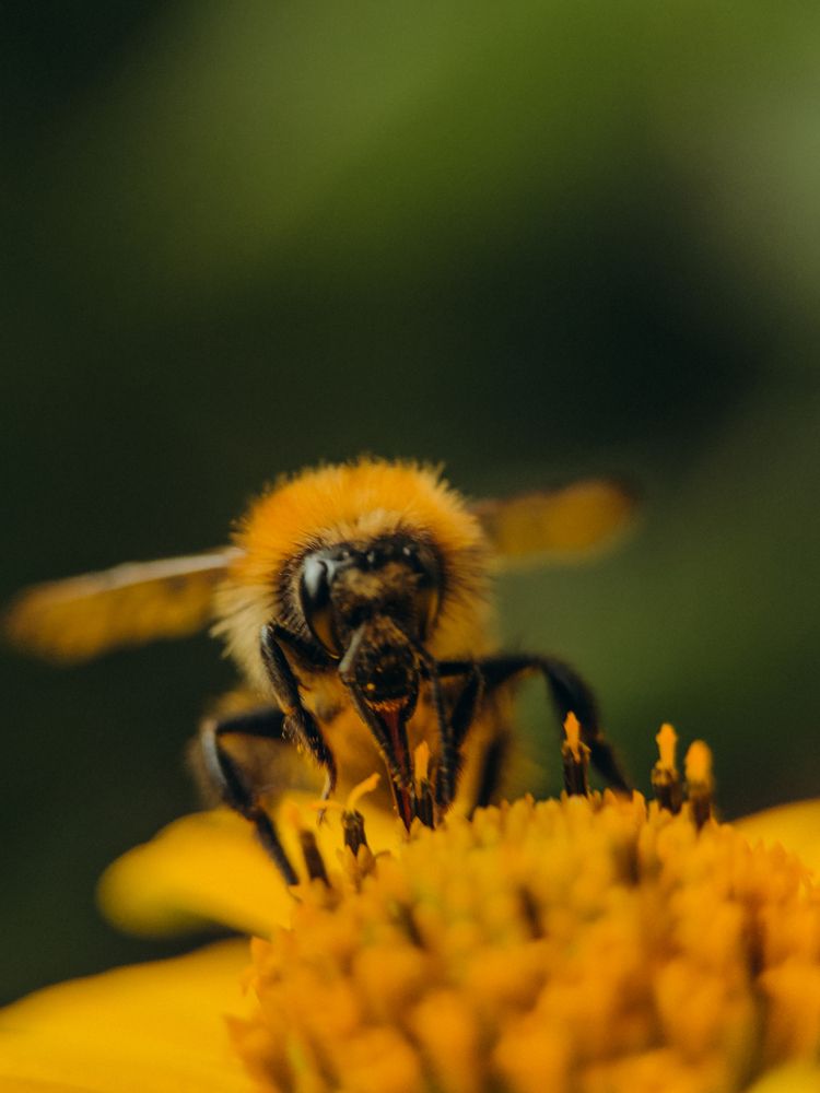 Photograph by Екатерина Щербинина