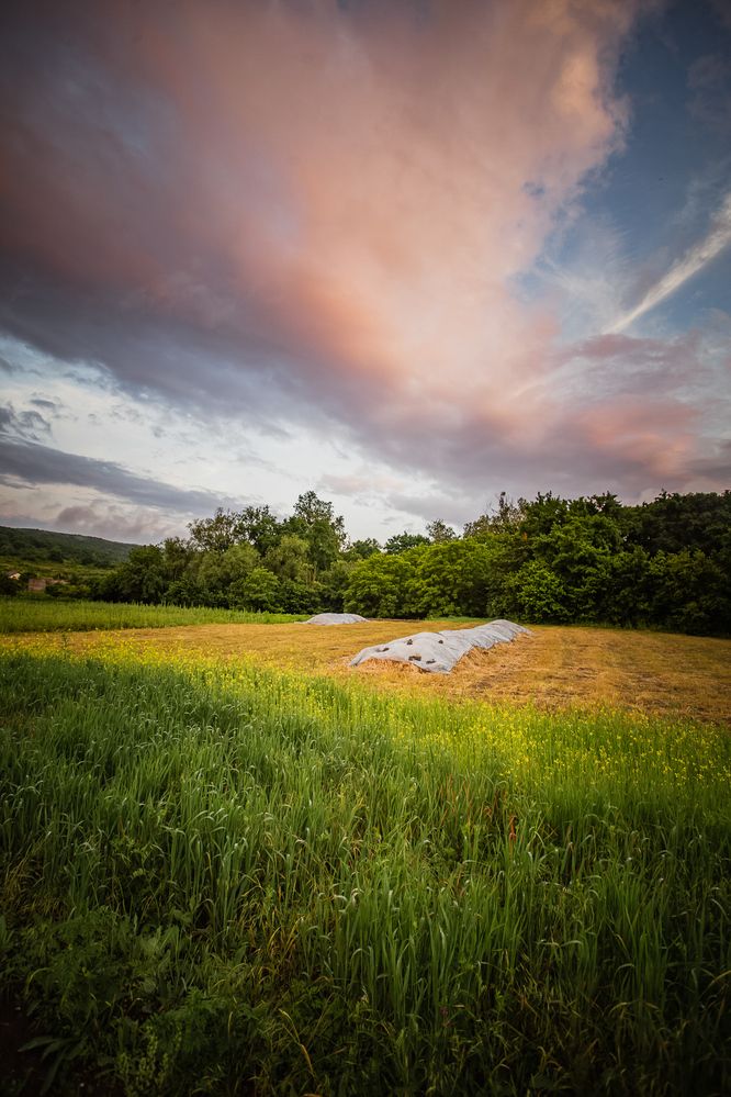 Photograph by Филипп Бабенко