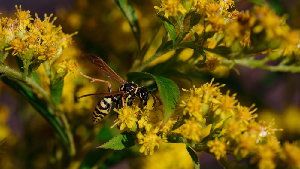 Фотография автора Войнов Дмитрий
