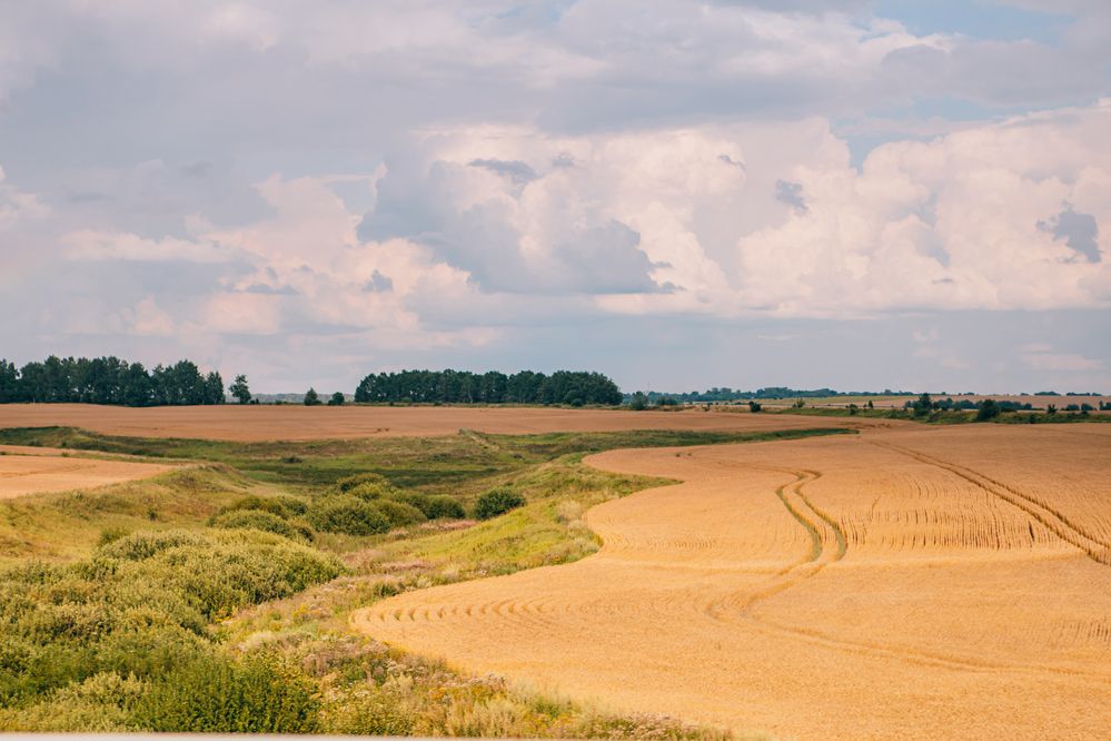 Photograph by Марина Денисова