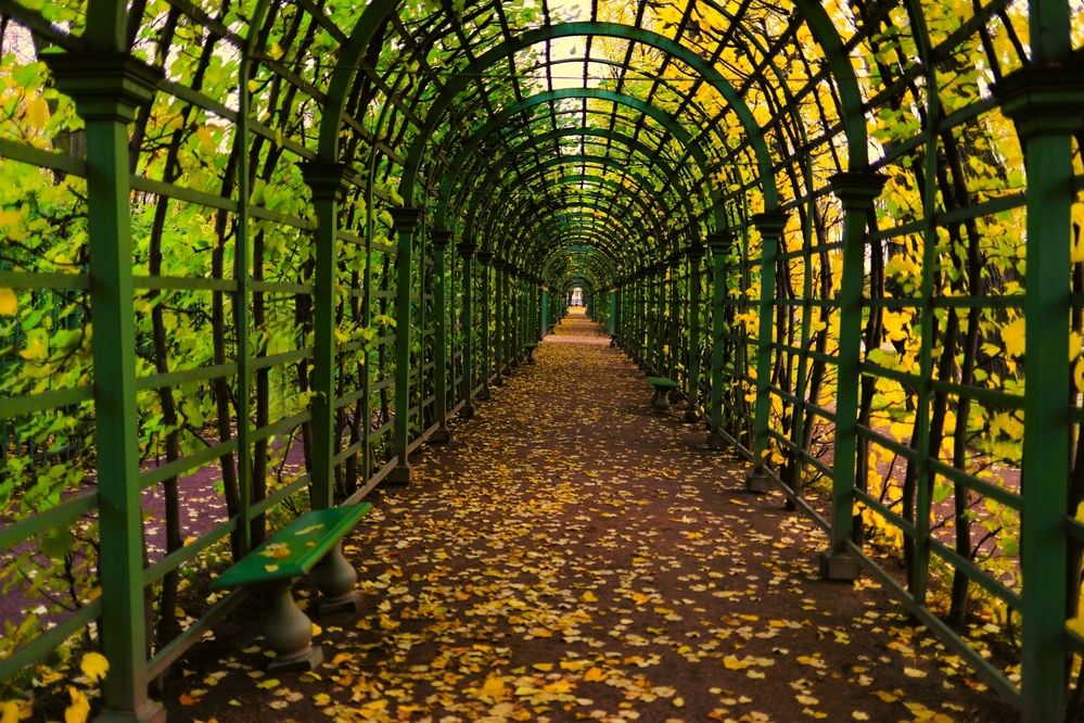 Photograph by Владимир Грибков