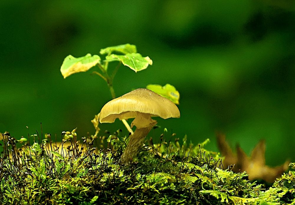 Photograph by Татьяна Слесарева