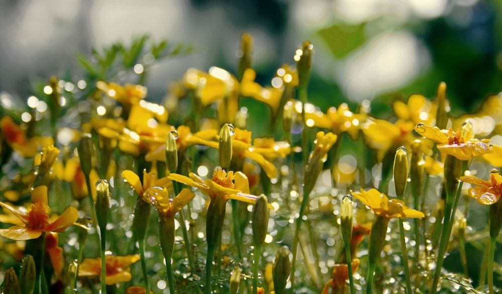 Photograph by Татьяна Слесарева