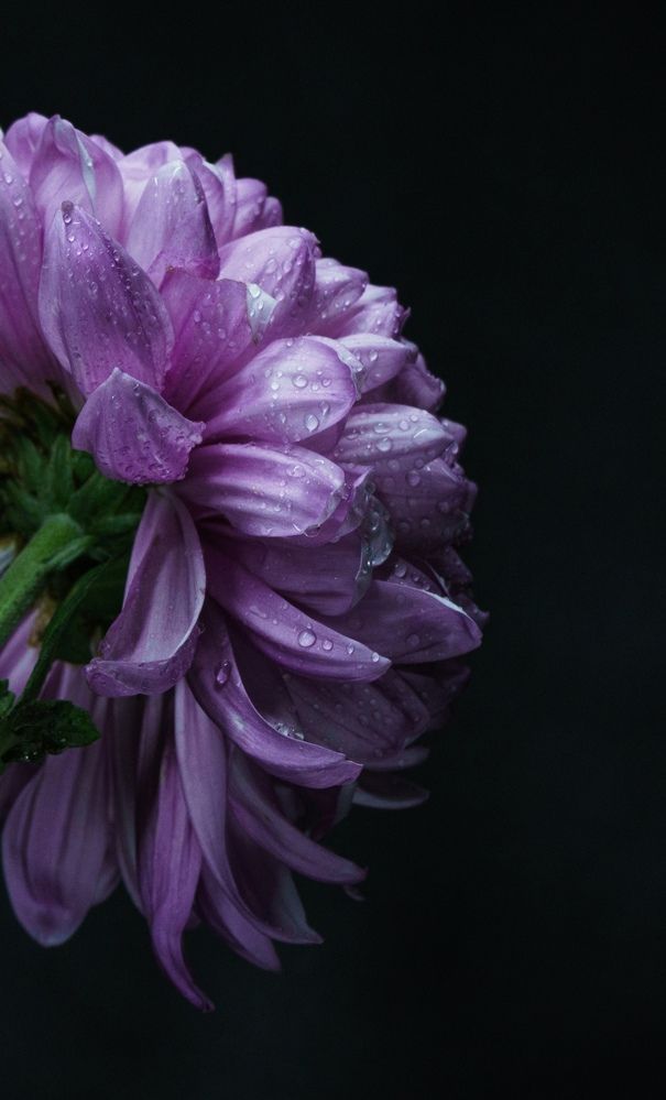 Photograph by Евгений Андреев