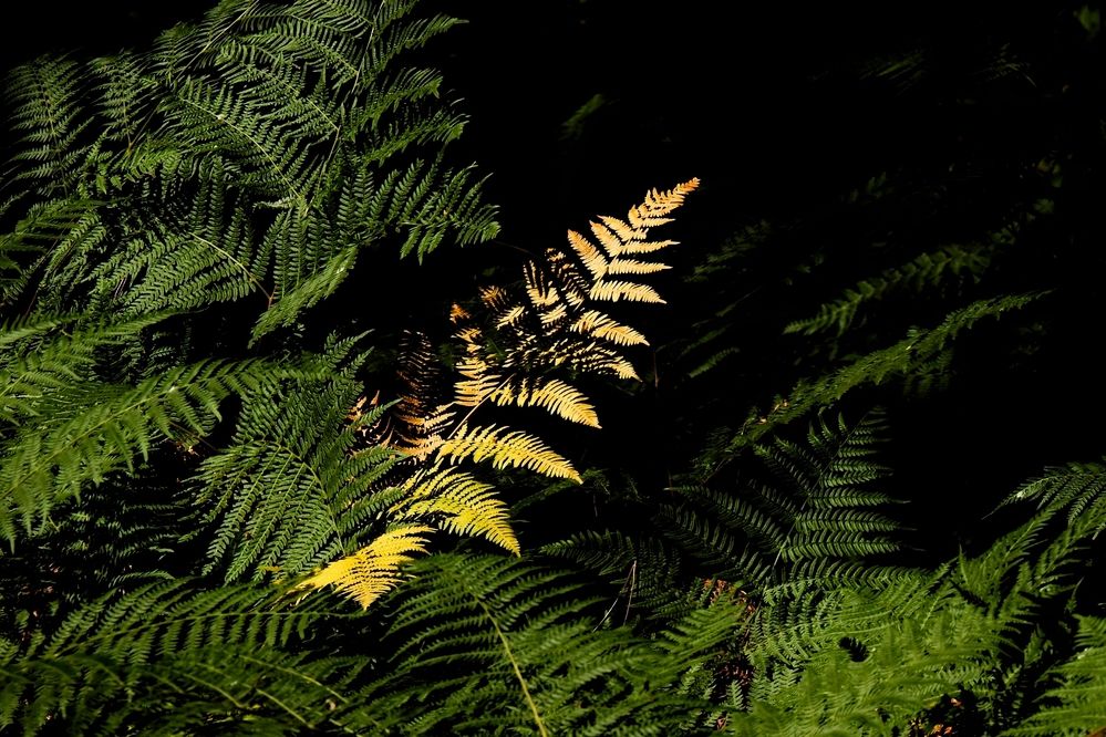 Photograph by fuat cimok