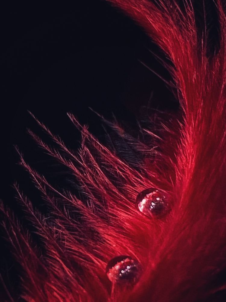 Photograph by Ольга Скиба