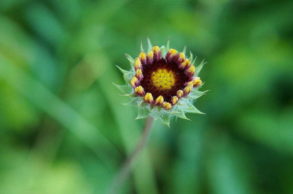 Photograph by Светлана Логинова