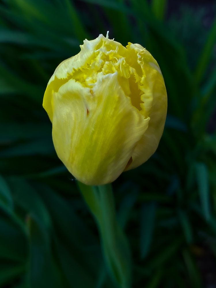 Photograph by Ольга Скиба