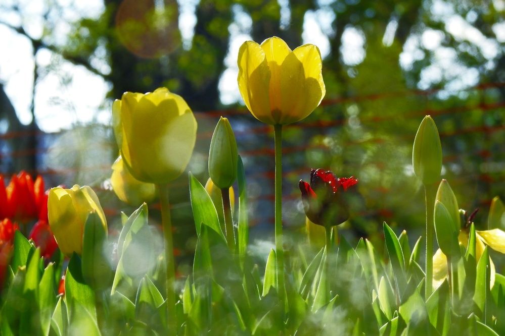 Photograph by fuat cimok