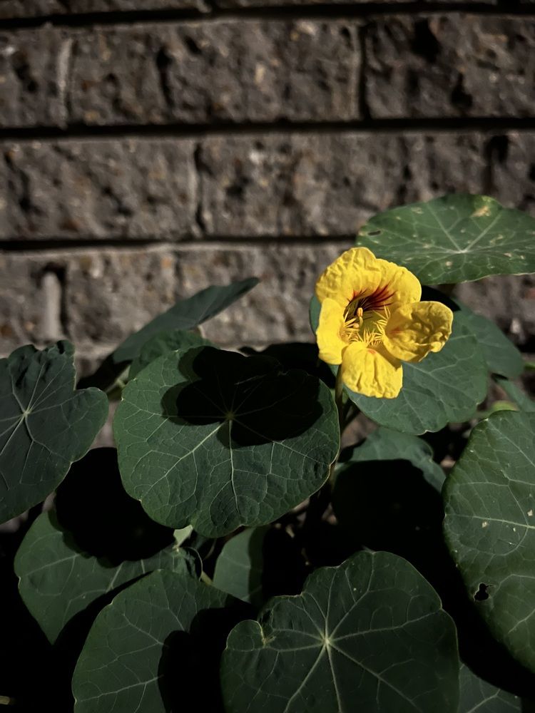 Photograph by Ольга Ручьева