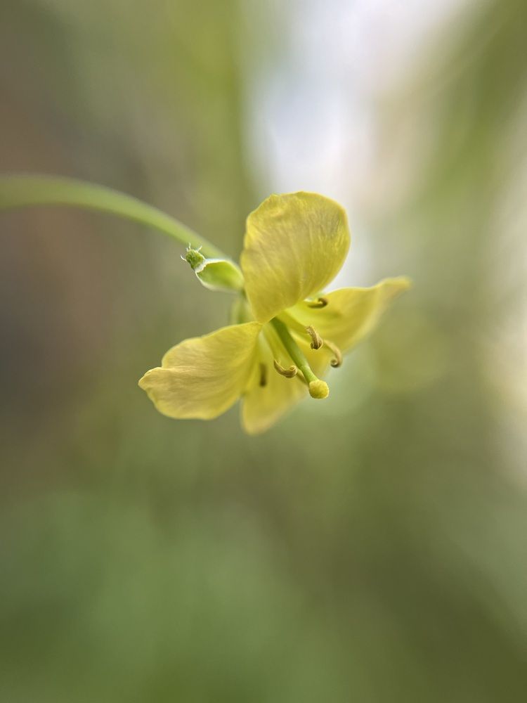Photograph by Ольга Ручьева