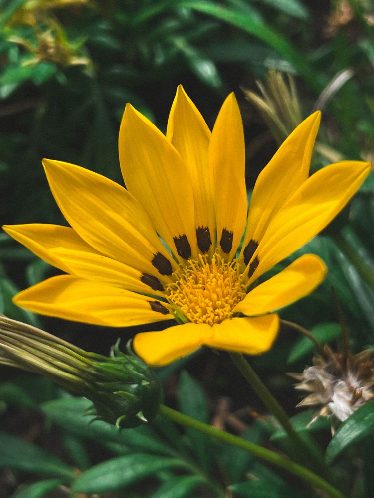 Photograph by Марина Фомичева