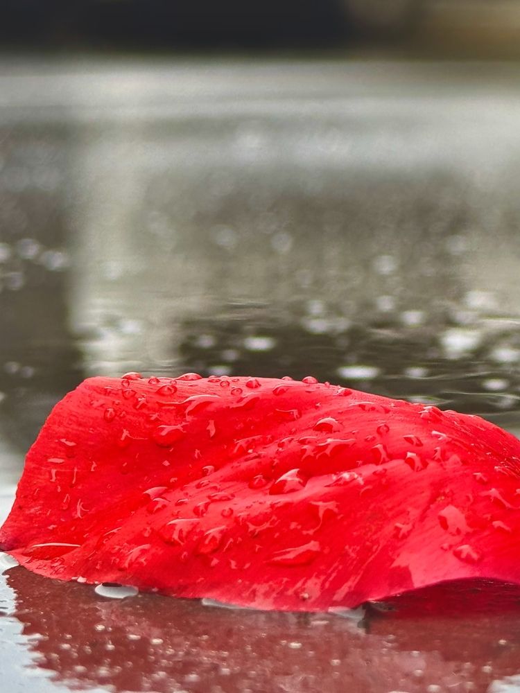 Photograph by Татьяна Смирнова