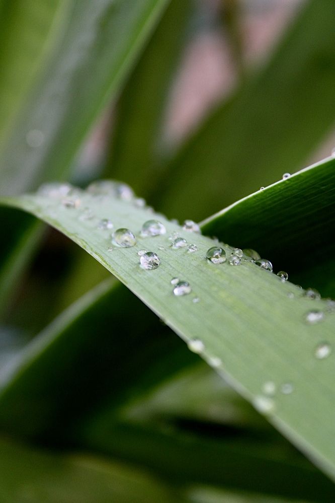 Photograph by Татьяна Смирнова