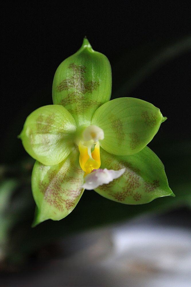 Photograph by Татьяна Смирнова