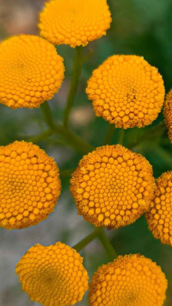 Photograph by Татьяна Небрат