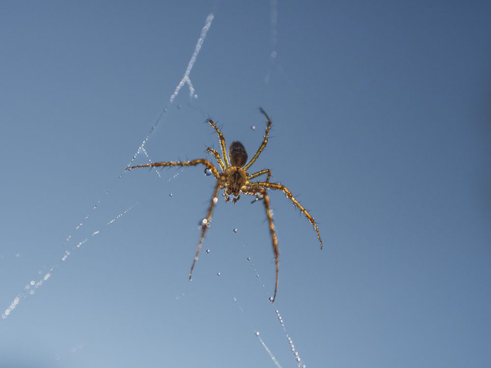 Photograph by Надежда Михайлина