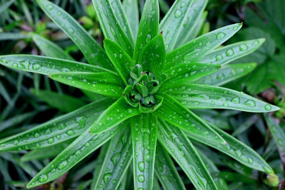 Photograph by Ольга Ситникова