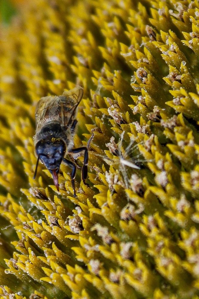 Photograph by Татьяна Смирнова