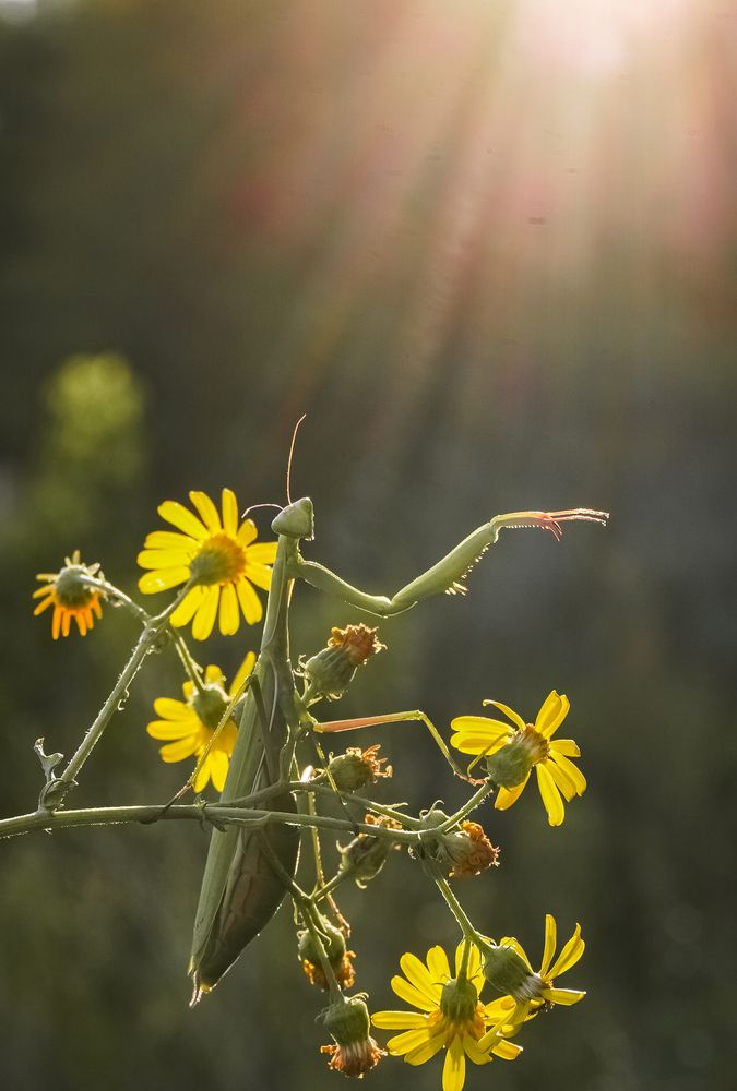 Photograph by Елена