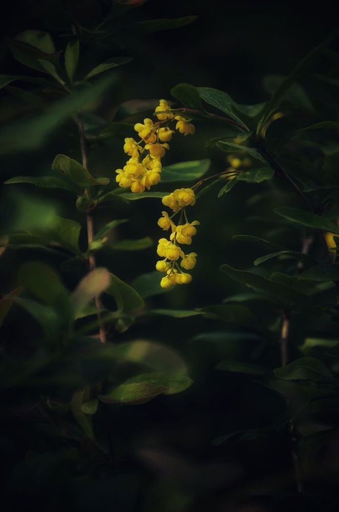 Photograph by Зыкова Мария