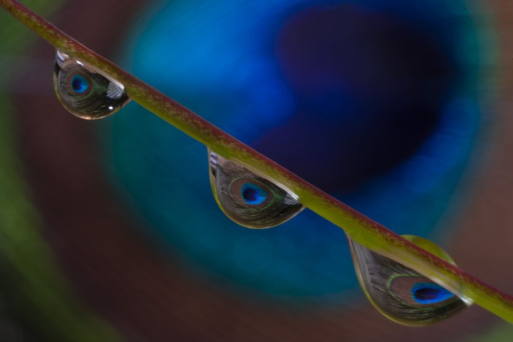 Photograph by Маргарита Дугалева