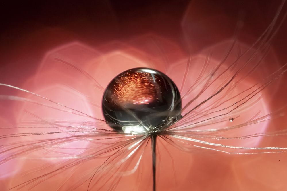 Photograph by Колиева Маргарита