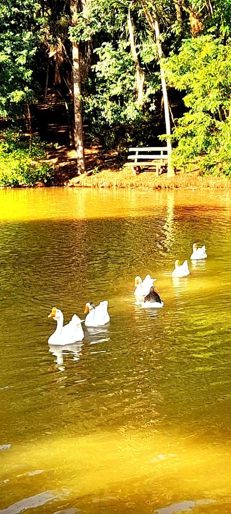 Photograph by Meire Costa