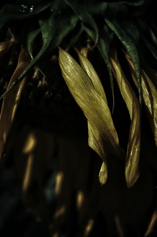 Photograph by Зыкова Мария