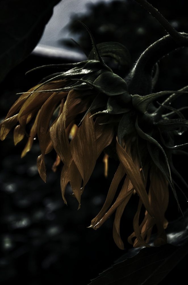 Photograph by Зыкова Мария