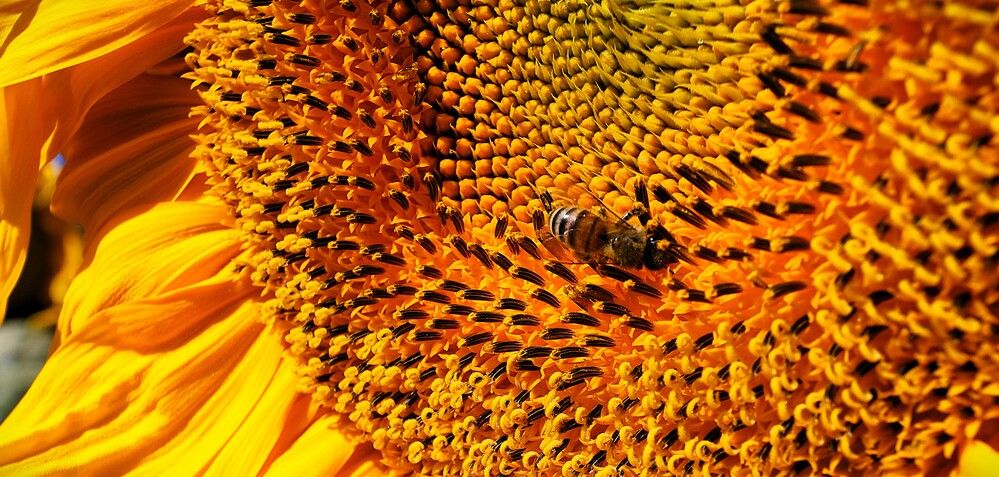 Photograph by Дмитрий Куркулин