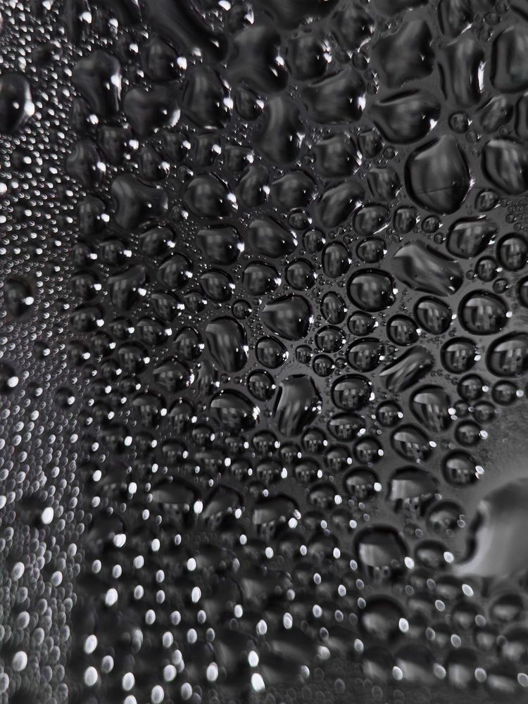 Photograph by Ася Жгенти