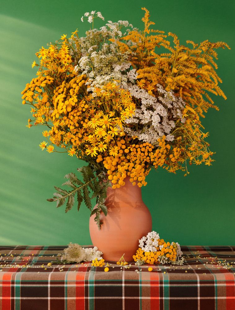 Photograph by Ольга Чибисова