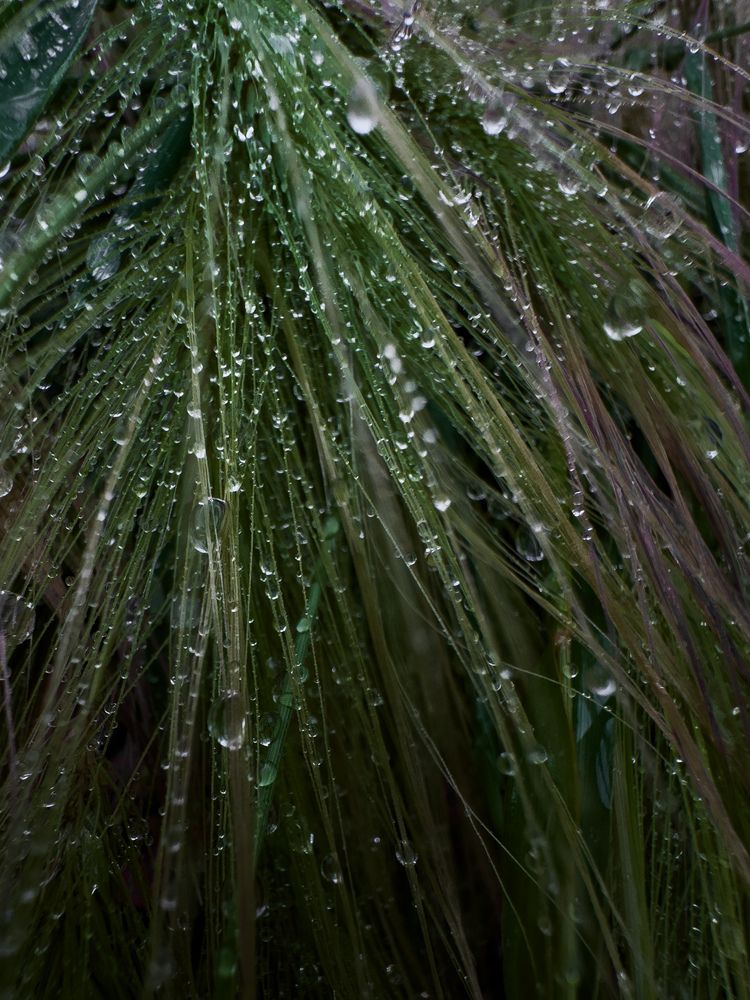 Photograph by Ася Жгенти