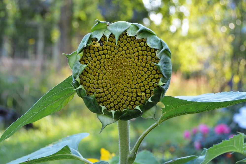 Photograph by Анастасия Смирнова