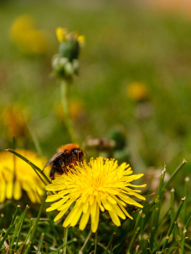 Photograph by Ekaterina Slepneva