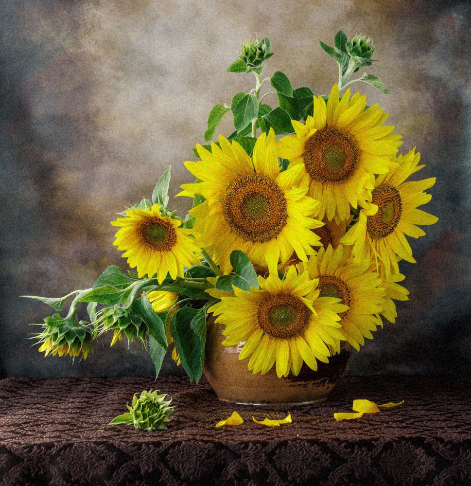 Photograph by Ольга Чибисова