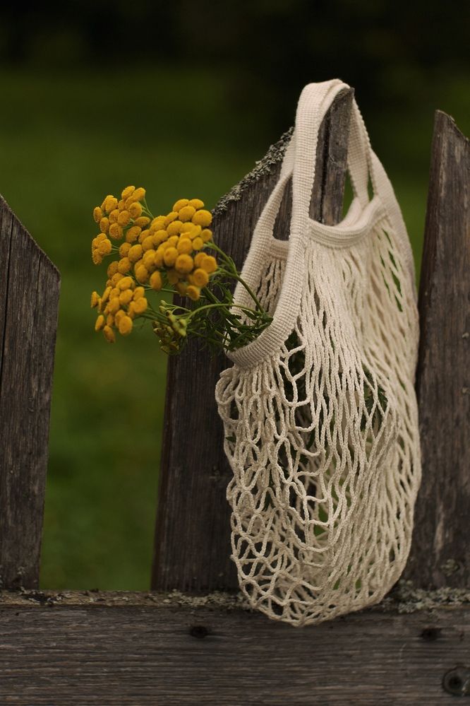 Фотография автора Elena Zeleranskaya