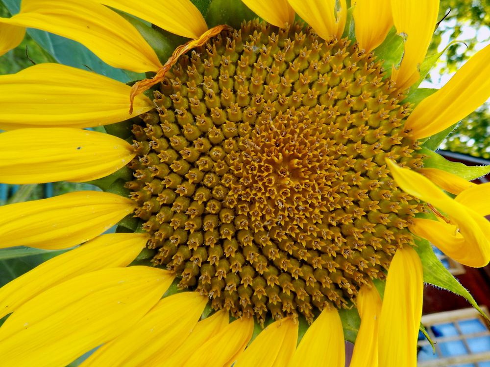 Photograph by Анастасия Смирнова