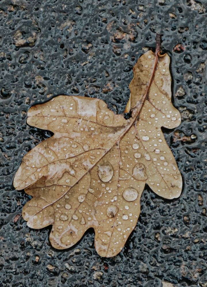 Photograph by Александра
