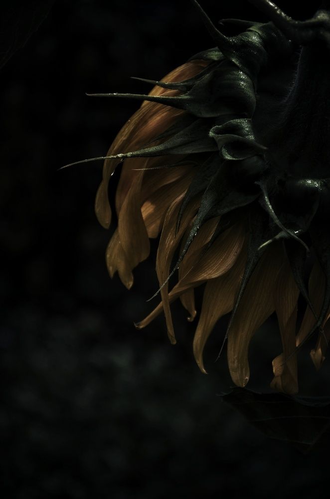 Photograph by Зыкова Мария