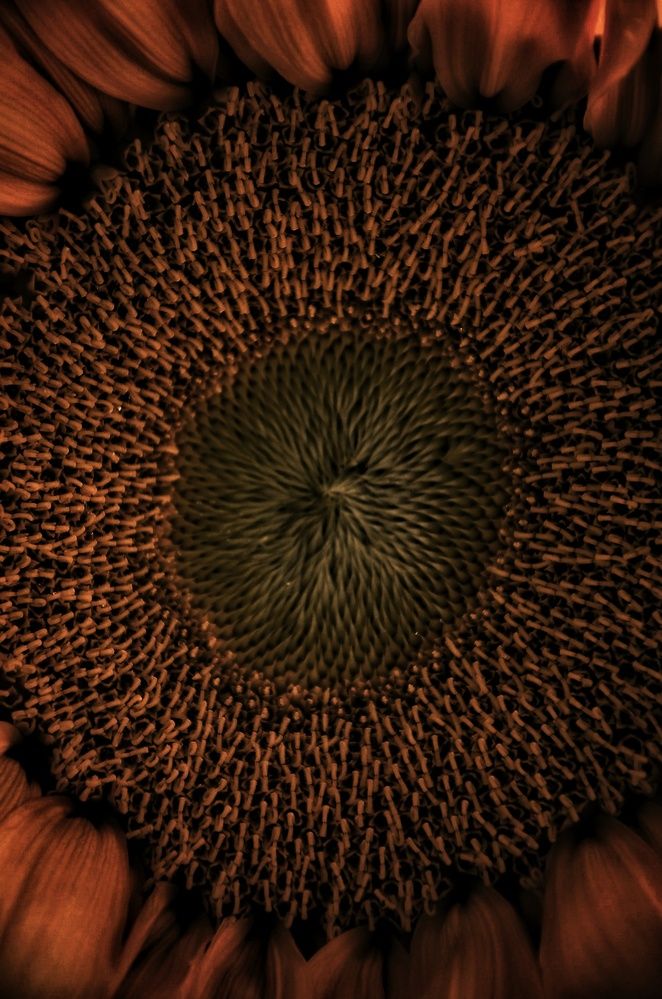 Photograph by Зыкова Мария