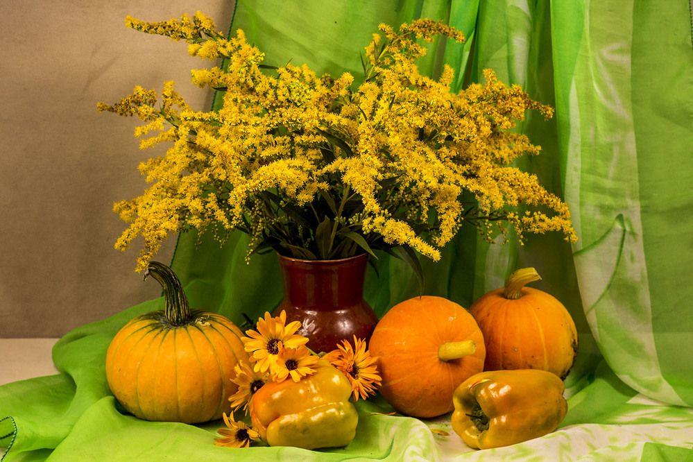 Photograph by Людмила Павловна