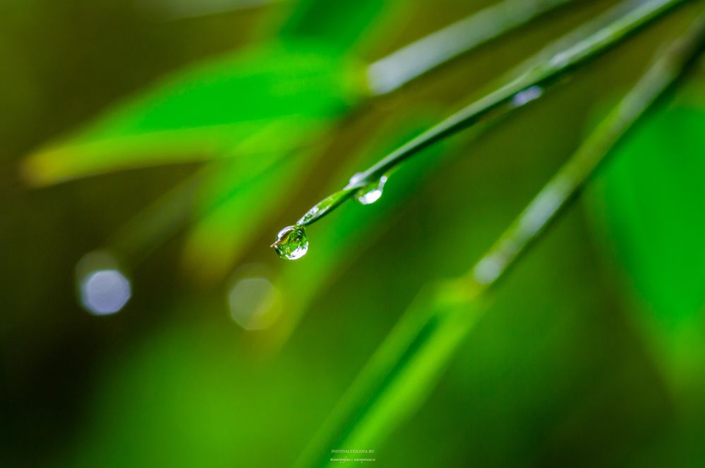 Photograph by Alexander Konstantinov