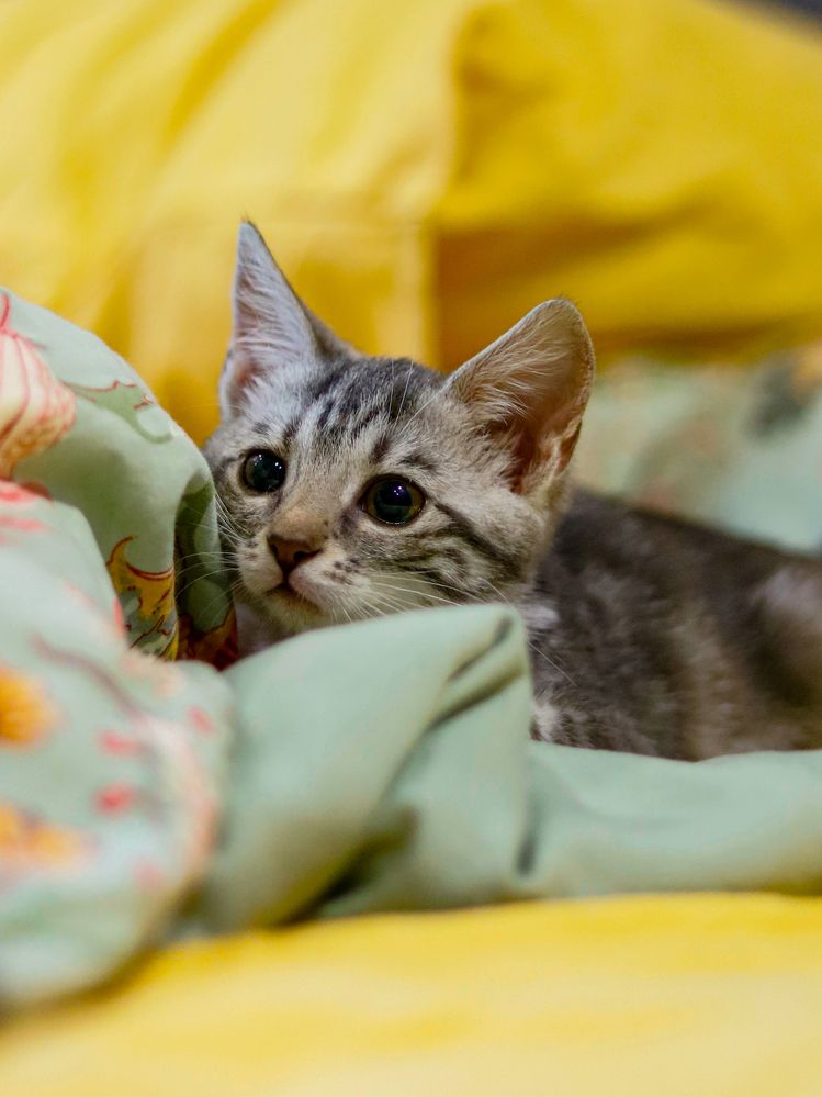 Photograph by Ekaterina Slepneva