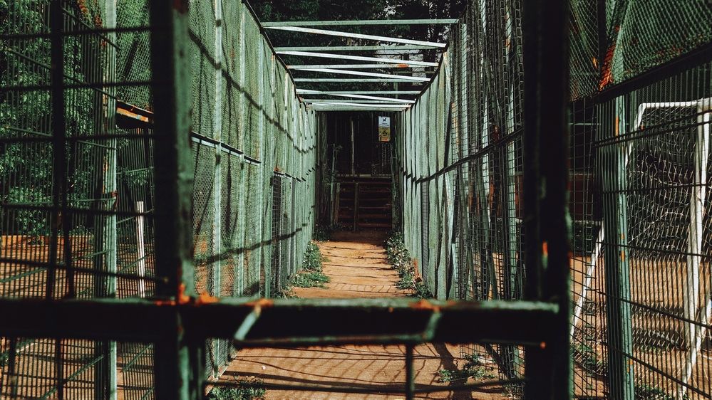 Photograph by Ульяна Дундукова